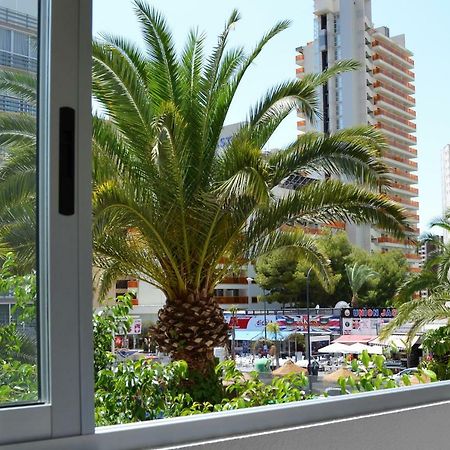Margarita Apartment Benidorm Kültér fotó